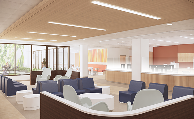 Child, Adolescent, and Adult Behavioral Health Services Center at Santa Clara Valley Medical Center: First Look